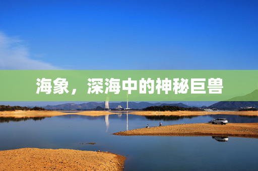 海象，深海中的神秘巨兽