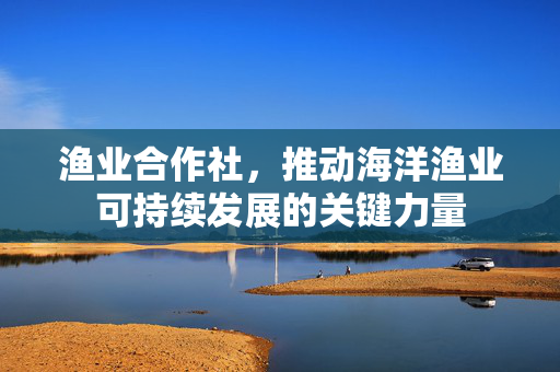 渔业合作社，推动海洋渔业可持续发展的关键力量
