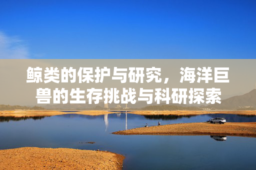 鲸类的保护与研究，海洋巨兽的生存挑战与科研探索