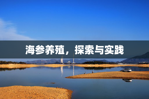 海参养殖，探索与实践