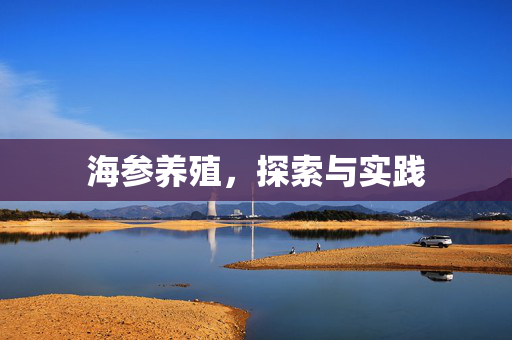海参养殖，探索与实践