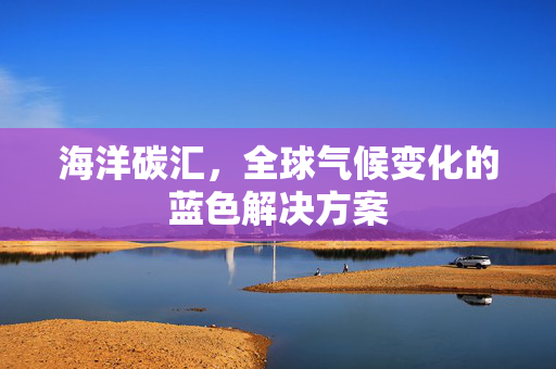 海洋碳汇，全球气候变化的蓝色解决方案