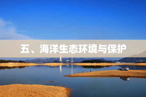 五、海洋生态环境与保护