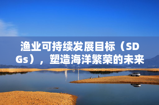 渔业可持续发展目标（SDGs），塑造海洋繁荣的未来