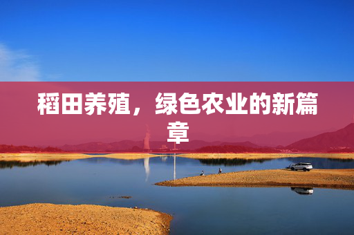 稻田养殖，绿色农业的新篇章