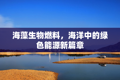海藻生物燃料，海洋中的绿色能源新篇章