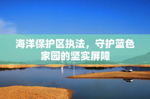 海洋保护区执法，守护蓝色家园的坚实屏障