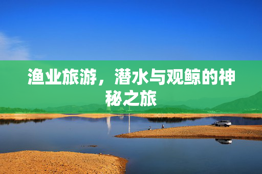 渔业旅游，潜水与观鲸的神秘之旅