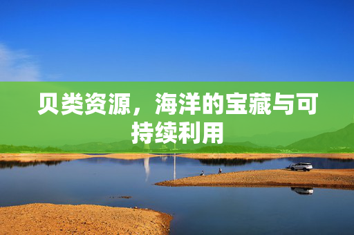 贝类资源，海洋的宝藏与可持续利用