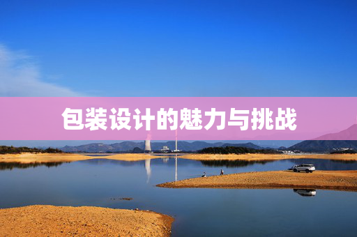 包装设计的魅力与挑战