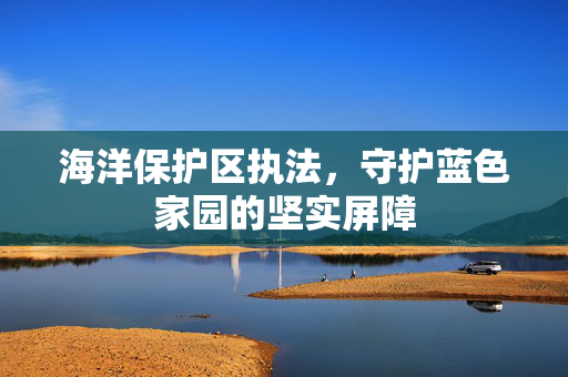 海洋保护区执法，守护蓝色家园的坚实屏障