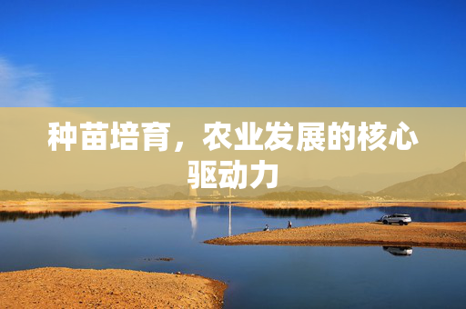 种苗培育，农业发展的核心驱动力