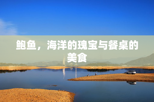 鲍鱼，海洋的瑰宝与餐桌的美食