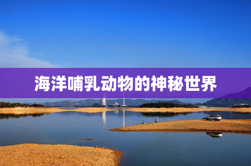 海洋哺乳动物的神秘世界