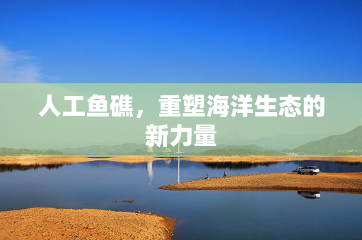 人工鱼礁，重塑海洋生态的新力量