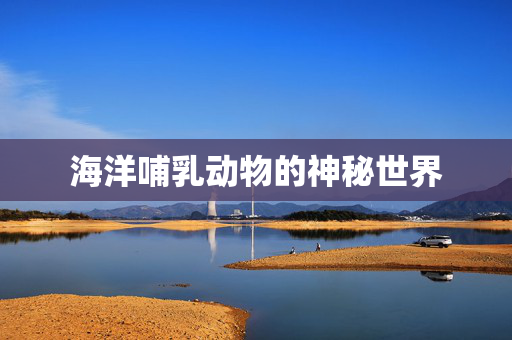 海洋哺乳动物的神秘世界