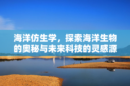 海洋仿生学，探索海洋生物的奥秘与未来科技的灵感源泉