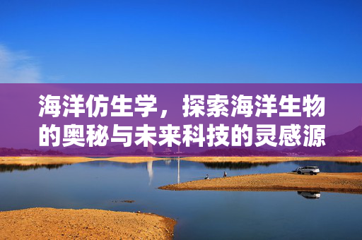 海洋仿生学，探索海洋生物的奥秘与未来科技的灵感源泉