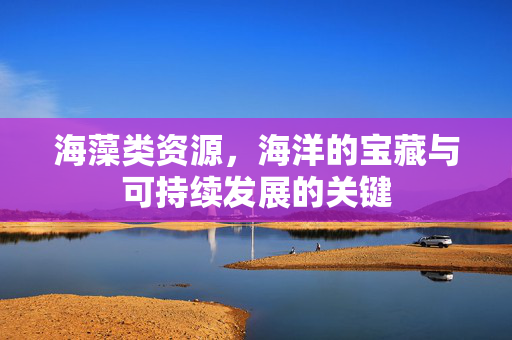 海藻类资源，海洋的宝藏与可持续发展的关键