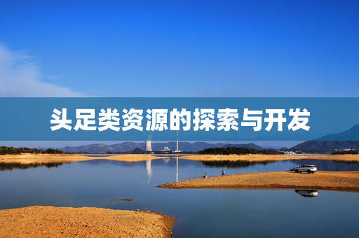 头足类资源的探索与开发