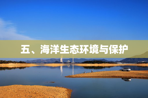 五、海洋生态环境与保护