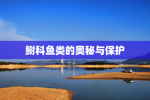 鲥科鱼类的奥秘与保护