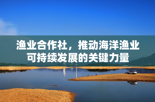 渔业合作社，推动海洋渔业可持续发展的关键力量