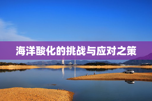 海洋酸化的挑战与应对之策
