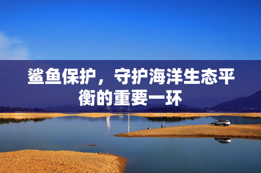 鲨鱼保护，守护海洋生态平衡的重要一环