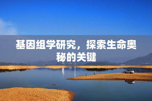 基因组学研究，探索生命奥秘的关键