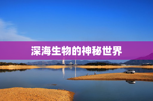 深海生物的神秘世界