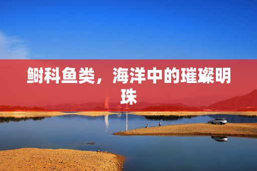鲥科鱼类，海洋中的璀璨明珠