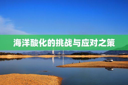 海洋酸化的挑战与应对之策