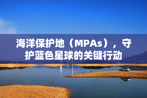 海洋保护地（MPAs），守护蓝色星球的关键行动