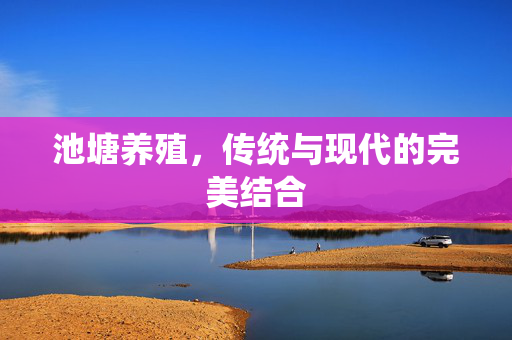 池塘养殖，传统与现代的完美结合