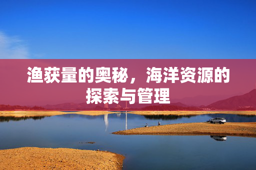 渔获量的奥秘，海洋资源的探索与管理