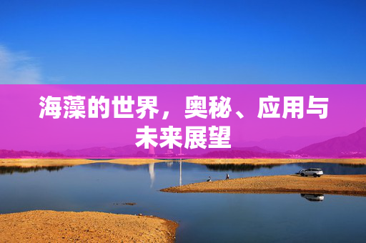 海藻的世界，奥秘、应用与未来展望
