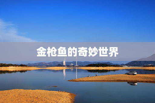 金枪鱼的奇妙世界