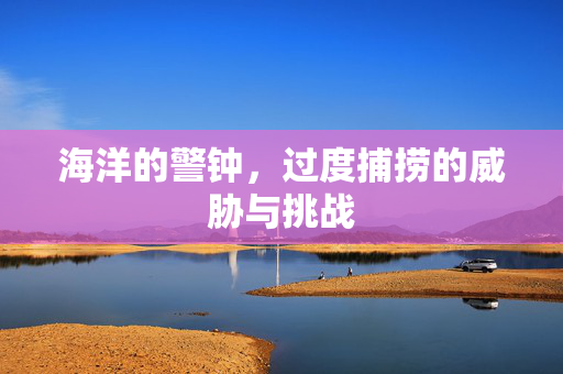 海洋的警钟，过度捕捞的威胁与挑战