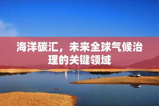 海洋碳汇，未来全球气候治理的关键领域