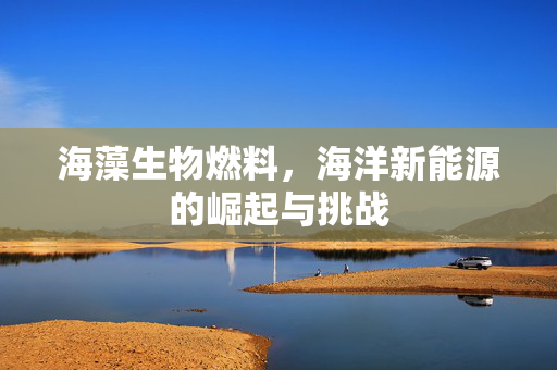 海藻生物燃料，海洋新能源的崛起与挑战