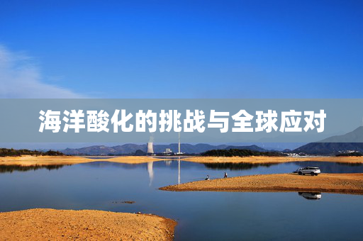 海洋酸化的挑战与全球应对