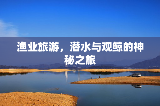 渔业旅游，潜水与观鲸的神秘之旅