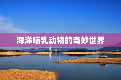 海洋哺乳动物的奇妙世界