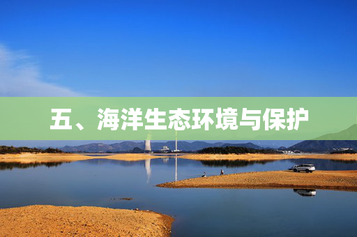 五、海洋生态环境与保护