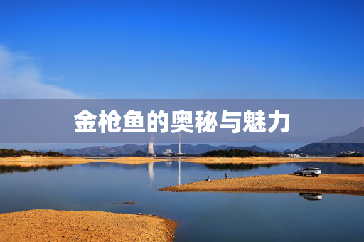 金枪鱼的奥秘与魅力