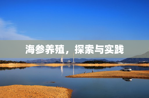 海参养殖，探索与实践