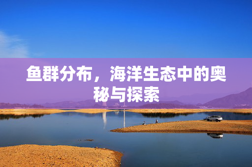 鱼群分布，海洋生态中的奥秘与探索
