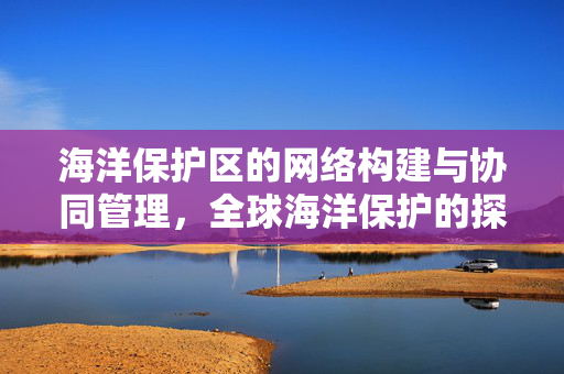 海洋保护区的网络构建与协同管理，全球海洋保护的探索之旅