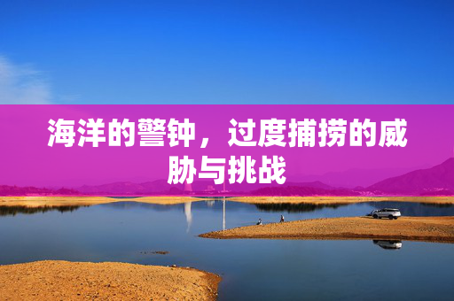 海洋的警钟，过度捕捞的威胁与挑战